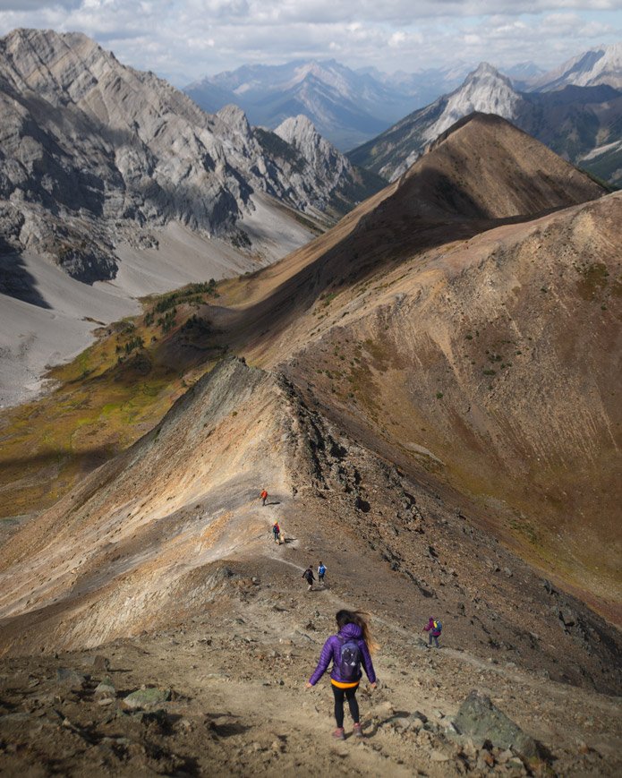 Pocaterrra Ridge Kananaskis